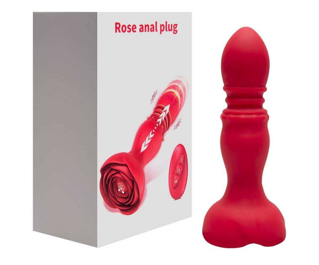 Plug anal vai e vem c controle